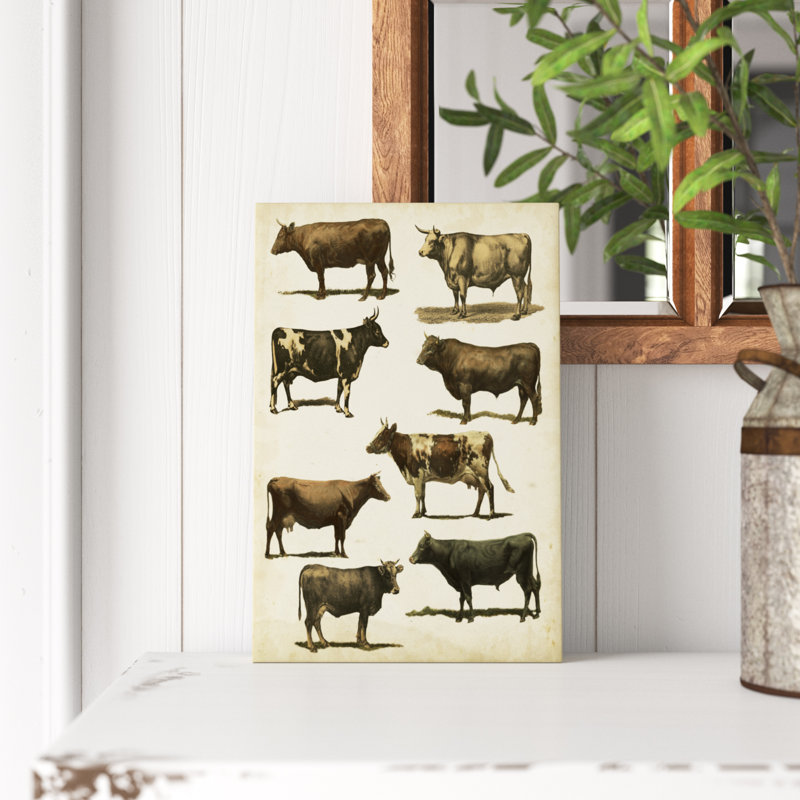 «Antique Cow Chart», impression sur toile, H 12 po x l 8 po