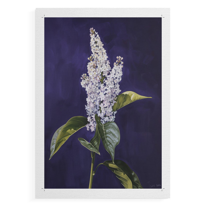 Série FLORAL CCxxxi - Impression sur toile seulement - NON CADRE