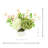 Assorted Hydrangea and Stephanotis Arrangement