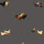 Helen’s Yard-1158682915-1158682938