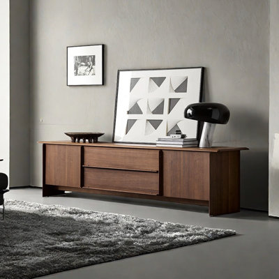 Modern Minimalist TV Stand