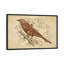 Steampunk Songbird, impression sur toile tendue-15819968-74875521-74875522