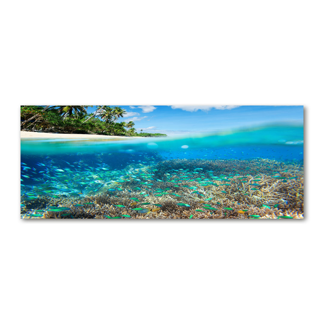Coral Reef - Wrapped Canvas Print
