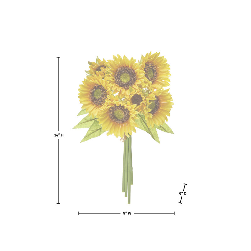 Ensemble de tournesol 14 "Pu
