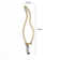 Ambient Angle LED Bulbled Bottle Inverted Shape E14 Decorative String Light