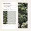 Papier peint naturel Shades Of Green-799931679
