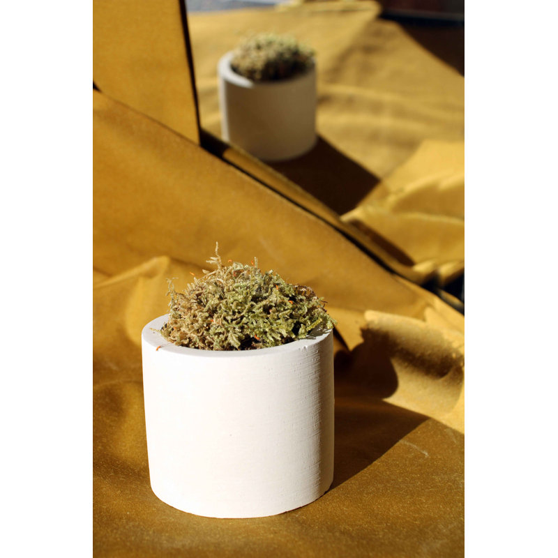Concrete / Cement Tabletop Tealight Holder, Grey