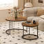 Ensemble de 2 tables basses gigognes