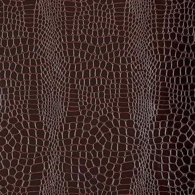 Crocodile Wallpaper