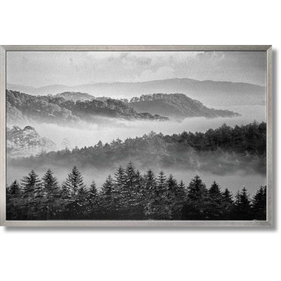 Art mural noir et blanc «Misty Forest» en aluminium - 32 po x 47 po - cadre argenté