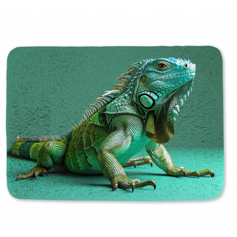 Tapis de bain Corabeth, L 17 po x L 24 po