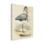«Antique Heron IV», reproduction sur toile tendue-33521984