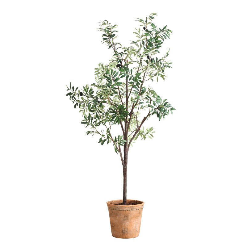 Olivier en pot Uttermost Olea