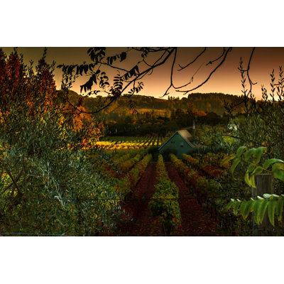 " Napa Valley " by Raymond Stiehl