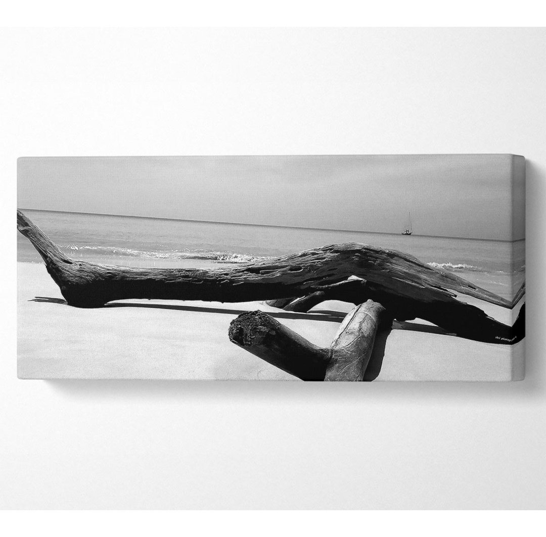 Ocean Drift Holz am Ufer B N W - Druck