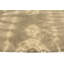 Tapis oriental brun 5X8
