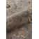 Museum Oriental Area Rug in Pewter