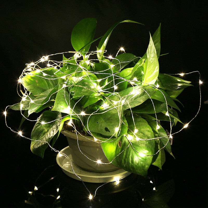 384'' LED String Lights, Warm White, 50