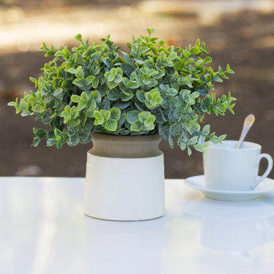Eucalyptus artificiel 11 po en pot