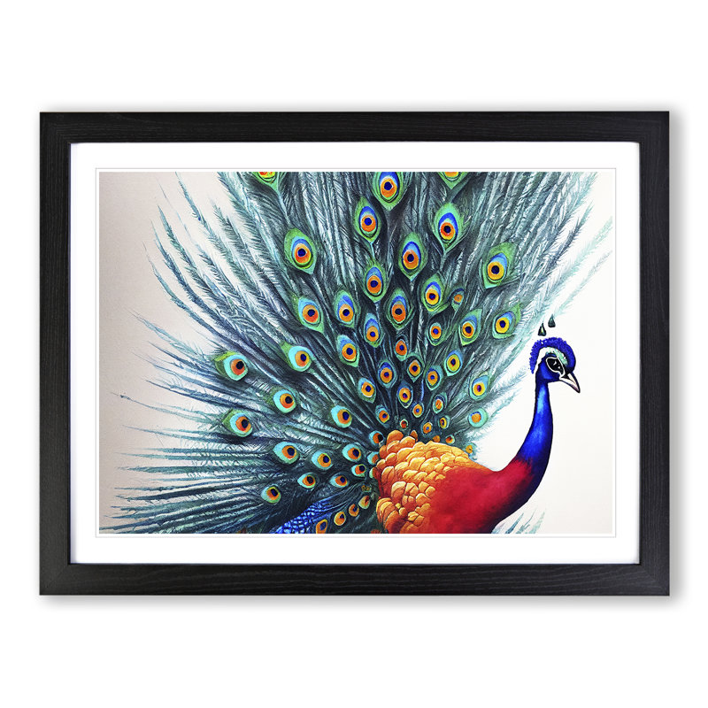 Watercolour Peacock Art 1 Piece Single Picture Frame Painting, 46cm H x 64cm W x 2cm D, Black