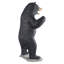 Statue ours noirs qui grogne grandeur nature