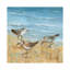 "Sandpipers II" par Nan, reproduction d’art-53949643-53949640-53949639