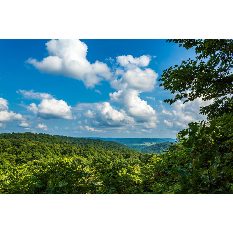 " Shawnee State Forest ", 8" H x 12" W