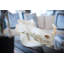 Mounted Warthog Skull