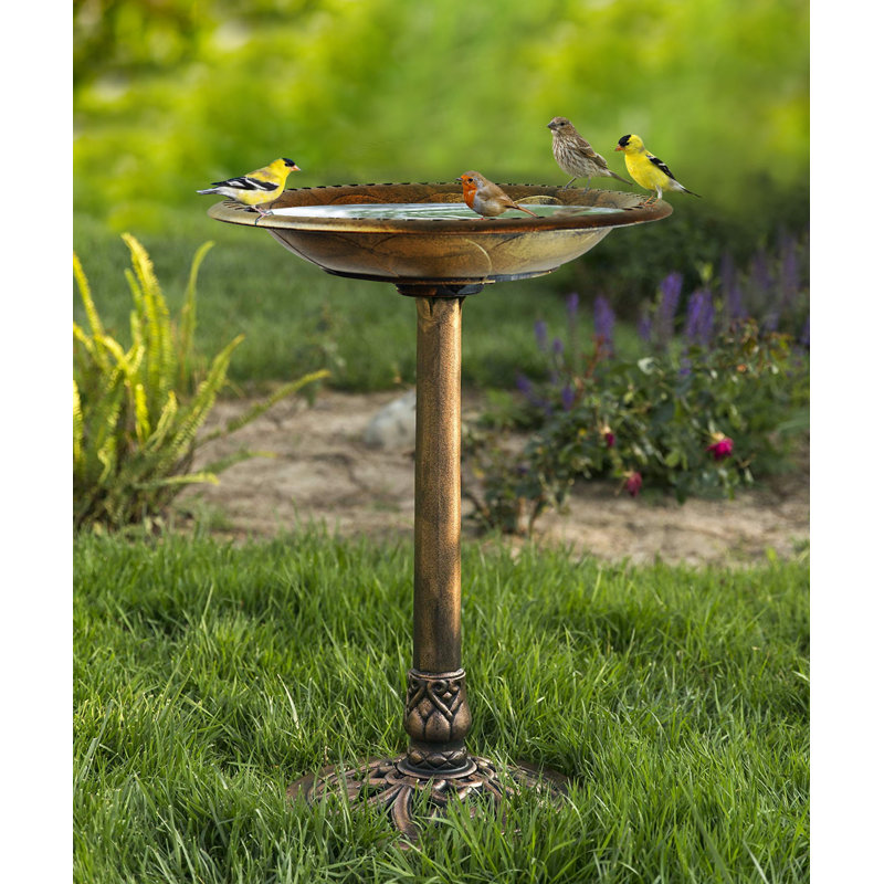 Bain d'oiseaux sur piédestal Agueda, Bronze antique