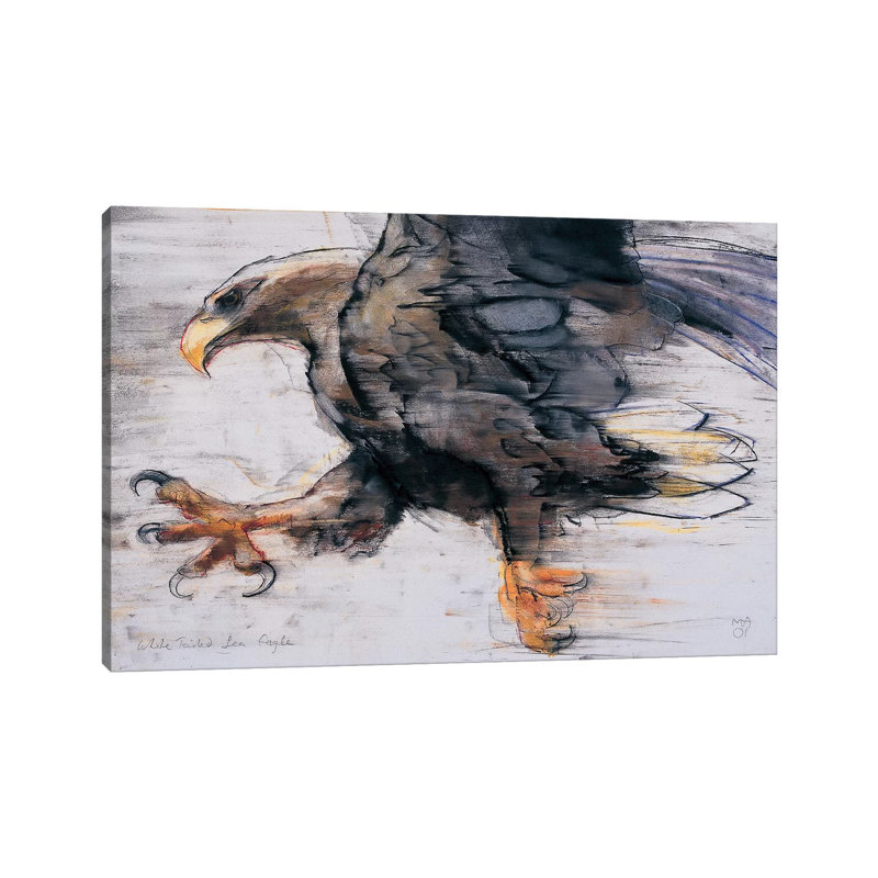 Talons by Mark Adlington - Wrapped Canvas Gallery-Wrapped Canvas Giclée