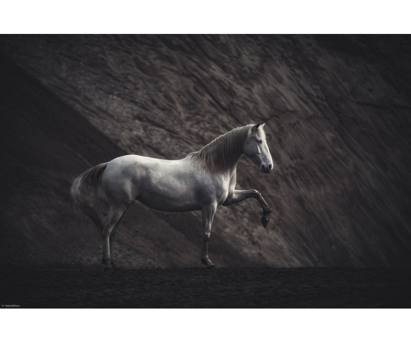 1 Piece Wrapped Canvas Wall Art, 81.28 cm H x 121.92 cm W