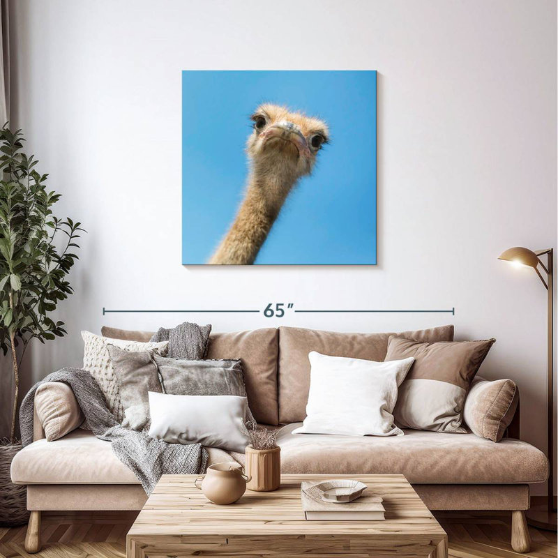 Crowle Curious Ostrich, 36" H x 36" W