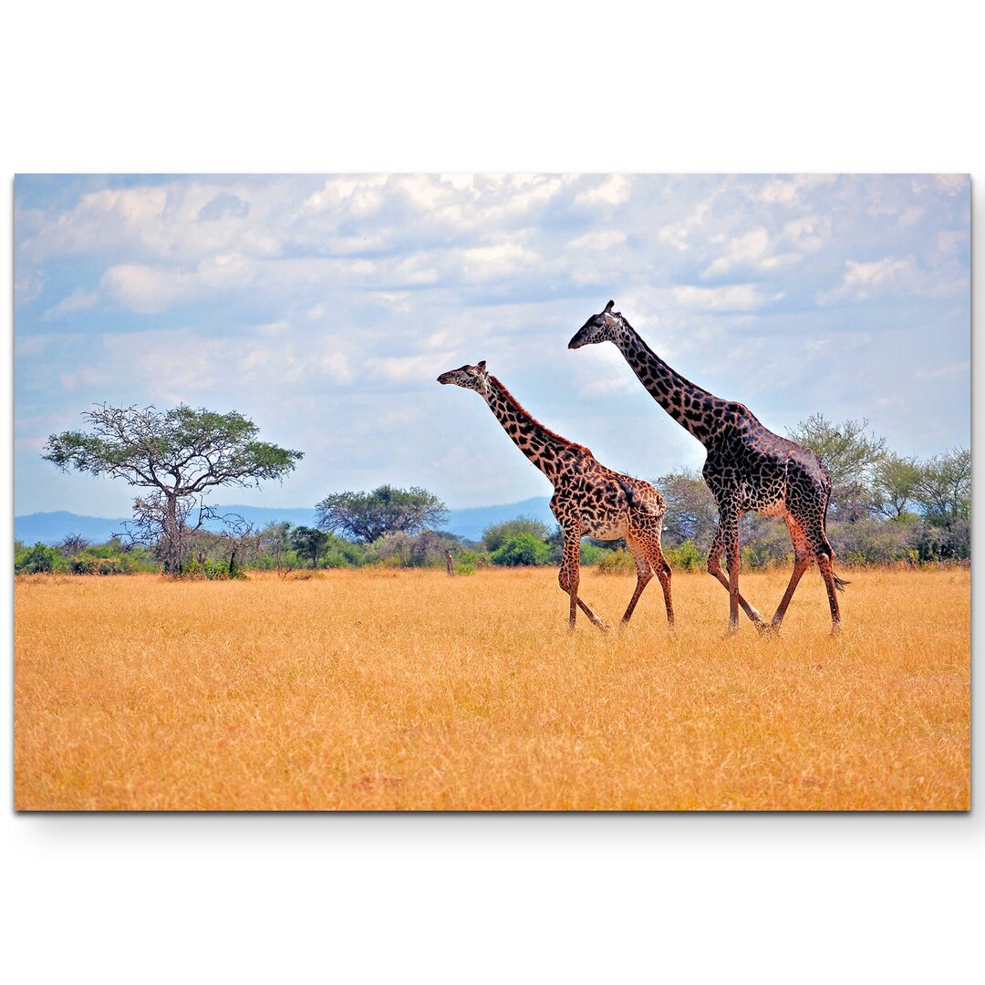 Leinwandbild Ein Giraffenpaar in der afrikanischen Steppe