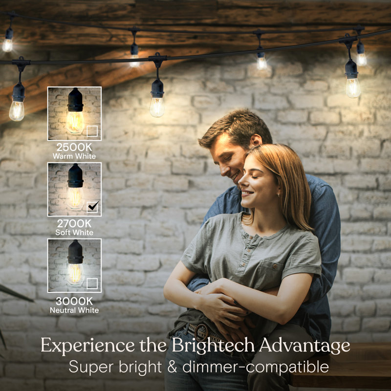 Ambience Pro 24 ft. Plug-In Outdoor Patio LED String Lights with 7 Soft White S14 Edison Bulbs, Weatherproof, Soft White