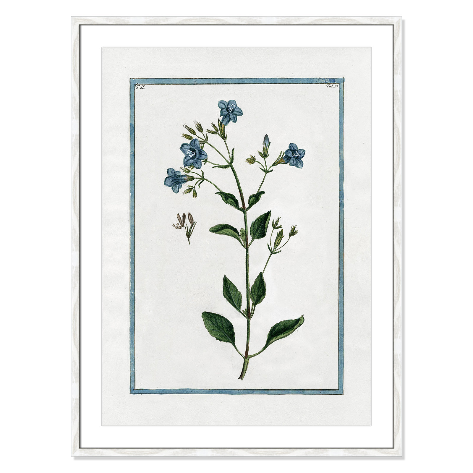 Colombe "Shabby Elegance Botanical II" Print, 25.5" W x 35.5" H, White Framed