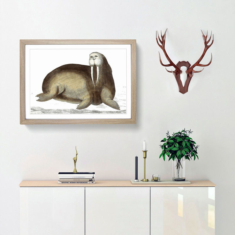 Arctic Walrus by George Shaw - Framed Print, 40cm H x 60cm W x 2cm D, Oak
