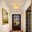 1 - Light Chandelier