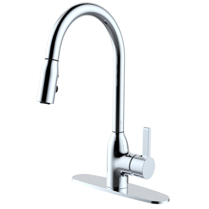 Robinet de cuisine moderne à une poignée / trou avec douchette extractible