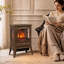 Electric Fireplace-1843416779