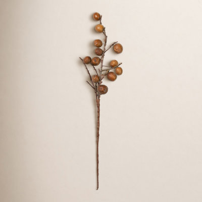 Botanical Stem