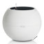 Pot Planter-348833669-275699180