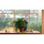 Estela 1 - Light LED Pendant-75551669