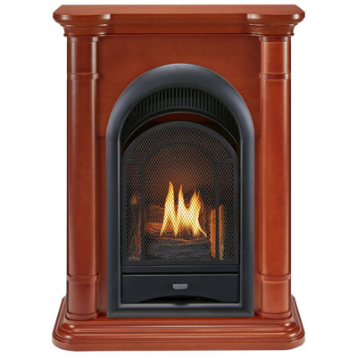 Heating Vent Free Natural Gas/Propane Fireplace