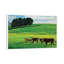 1 Piece Wall Art on Canvas-1417308295-1417308015