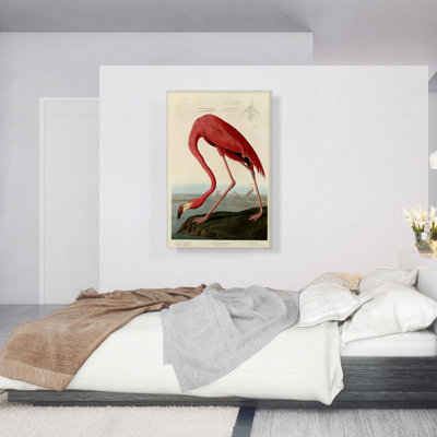 " American Flamingo " by James Audubon Painting Print