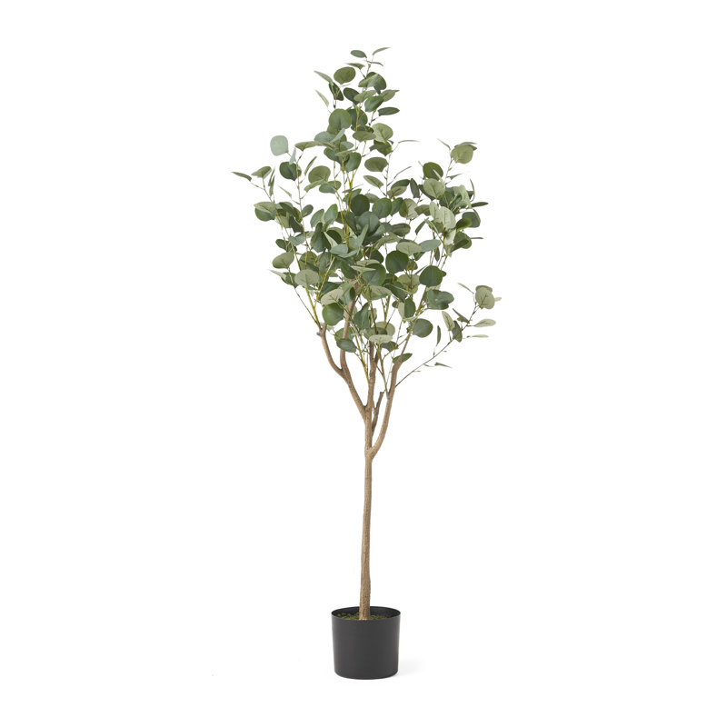 Aanya Faux Eucalyptus Tree in Pot, 59" H x 23" W x 23" D
