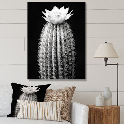 Barbury " Grey Cactus Elegance In Monochrome I "