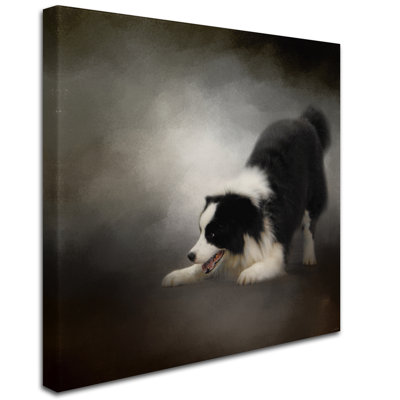 Wrapped Canvas Wall Art - Jai Johnson 'Ready To Play Border Collie' Wall Art for Living Room, Bedroom, or Office Décor - 35x35