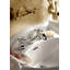 Arcana™ Widespread Lavatory Faucet with C-Spout-54438583-60919584