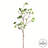 Carla Milan Leaf Arrangement